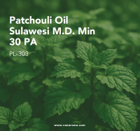 Patchouli Oil Sulawesi M.D. Min 30 PA (PL-303) Van Aroma