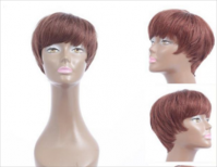 Short Straight Wig Human Hair