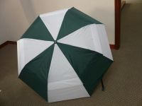 2 section auto folding umbrella 2nd generation anti wind