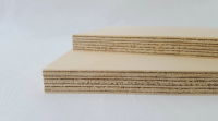 Vietnam Commercial Plywood - Bintangor, Birch, Okume Face 