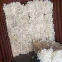 Premium Sisal Fiber &acirc;€“ Strong, Clean