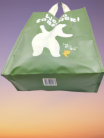 PP Nonwoven shopping Bag From Vietnam