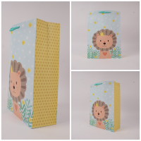 Paper bags for Birthday Gift, Grocery Shopping, Christmas Day, Clothing Store From Vietnam