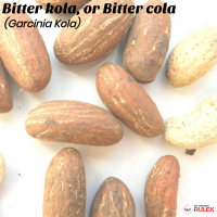 Bitter Kola