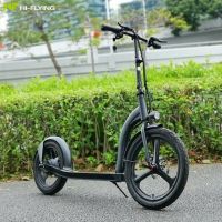 Big Wheel Electric Scooter 28-45 Km Mileage From Georgia