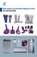water purifiers and household appliances mould maker in Longrang +86 13757687793 From China