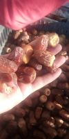 Dried Dates & Semi Dried Dates