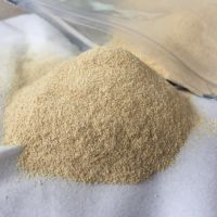 Oyster Mushroom powder or dried JAMURINDO