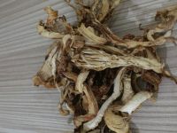 Oyster Mushroom Powder Or Dried Jamurindo