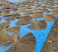 Palm/Nypah Broom Sticks From Indonesia