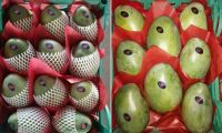 FRESH CITRUS FRUITS |ORANGES | LEMONS | APPLE |BANANA