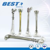 Transparent Clear Resin Femoral &amp;amp;amp; Tibial Bones Model with Locking Plates and Nails