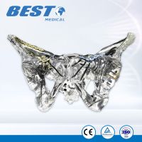 Transparent Clear Resin Femoral &amp;amp;amp; Tibial Bones Model with Locking Plates and Nails