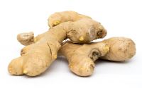 Ginger  - Zingibar officinale