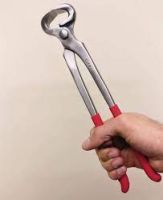 Farrier / Veterinary Instruments With Horse Riding