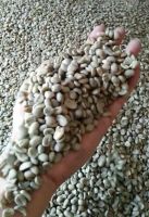 Arabica Gayo Aceh