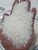 Japonica Round Rice (sushi Rice/ Japanese Rice)/ Wa: +84352310575