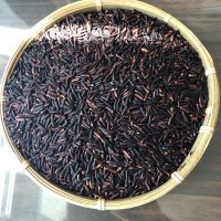 BLACK HEALTHY RICE/ WHATSAPP: +84352310575