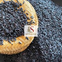 Organic Black Brown Rice, High Quality Vietnamese Goods, Best Seller In 2021/ Wa: +84352310575