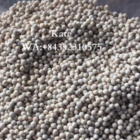 White Pepper 630g/l Doubled Washed/ Kate +84352310575