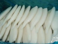 squid tube, squid ring, apo, salmon