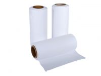 PTFE