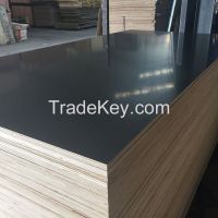 [Aceall Wood] Brown Black Film Faced