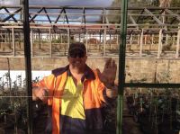 Shanes Glass || Shanesglass.com.au
