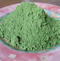 Moringa Powdered