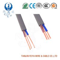 Feiya 2021 Australian Standard (Low Voltage) Industrial Cables PVC Insulated, 2 Core + E Flat Cables, 450/750V From China