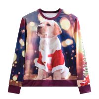 2021 Women Pullover Streetwear Hoodie dog&apos;s pattern Christmas pullover sweatshirt cute crew nec From China