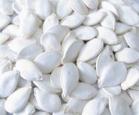 Sell Salted Pumpkin Seeds in Shell