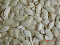 Sell Shine-skin Pumpkin Seeds