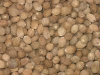 Sell Nutmeg, Mace And Cloves