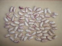 Sell Light Speckled Kidney Beans And White Beans