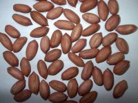 Sell Light Speckled Kidney Beans And White Beans