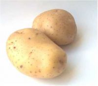 Sell Pakistani Fresh Potatoes