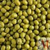 Sell Sell Green Mung Beans