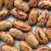 Sell Light Speckled Kidney Beans