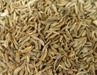 Sell Cumin Seeds