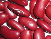 Sell Red Kidney Beans&dark