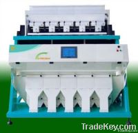 Sell Wheat Grain Color Sorter / Sorting Machine with CCD Sensor