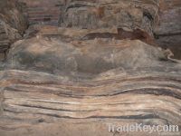 Sell wet and dry salted cow hides