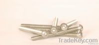Sell chipboard screw From South Africa