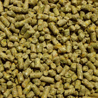 Sell Chicken feed_Organic Layer Pellets or Crumbles #5998