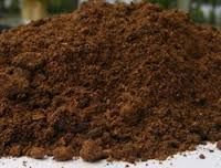 Sell Palm Kernel Cake