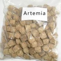 Sell Fish Food Artemia From South Africa