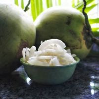 Sell  Dried coconut chips/Toasted coconut chips  From South Africa