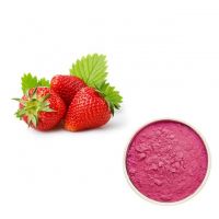 Sell  Instant Powder Drinks with sugar free (Cocoa and Malt Flavor)  From South Africa