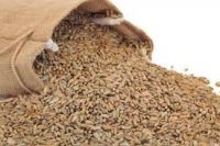 Sell Rye bran RYE FLAKES ,Rye bran high grade,Winter Rye for sale From South Africa
